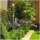 Orwell Garden